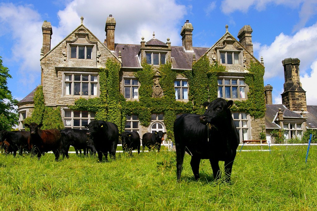 Open Farm at Blessingbourne Estate