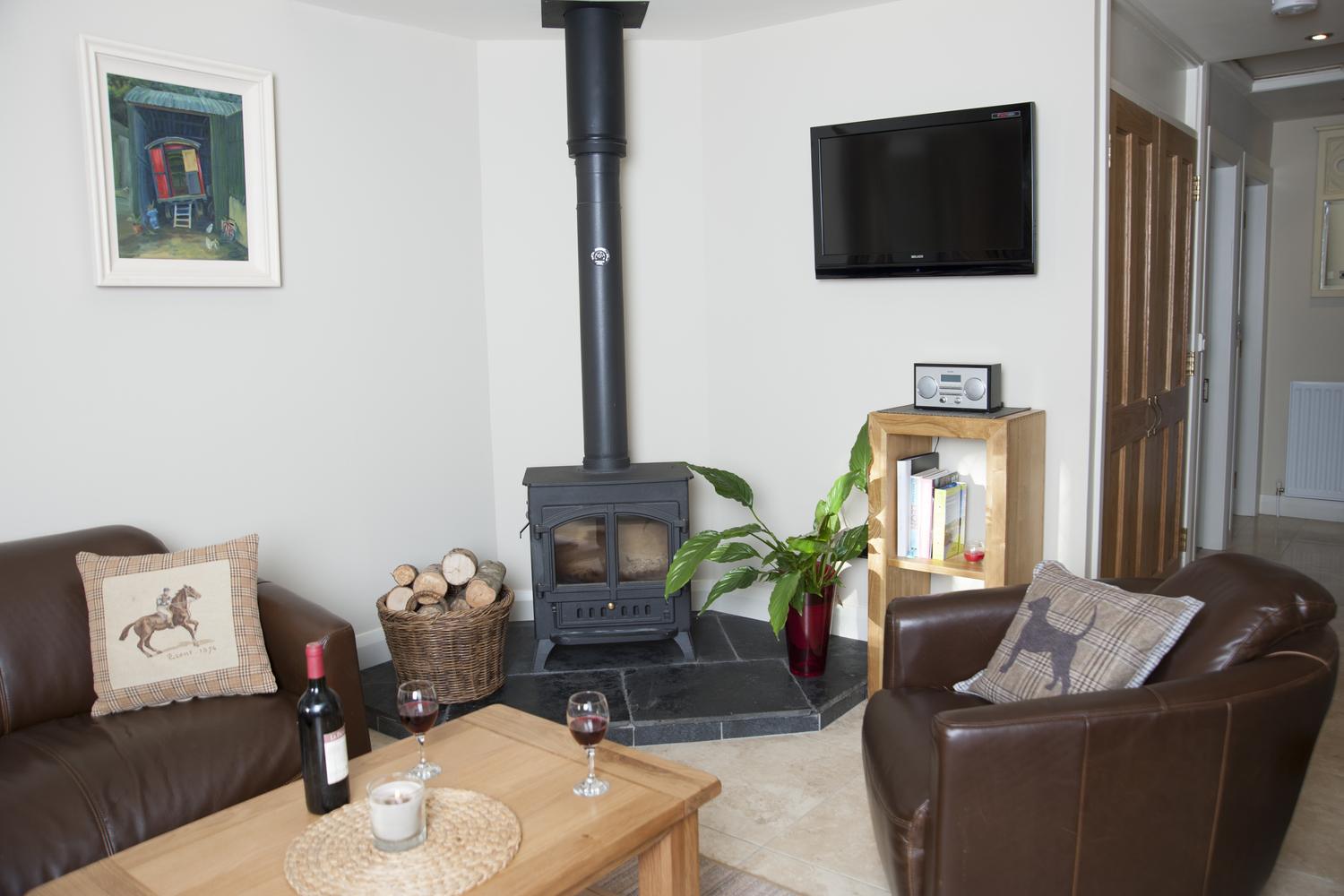 Log burning stove in self catering lodge