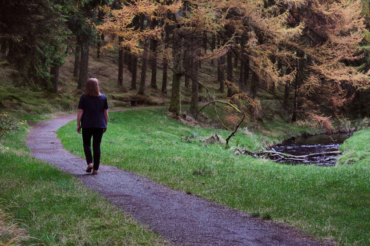 Dog walkng in Davagh Forest Tyrone