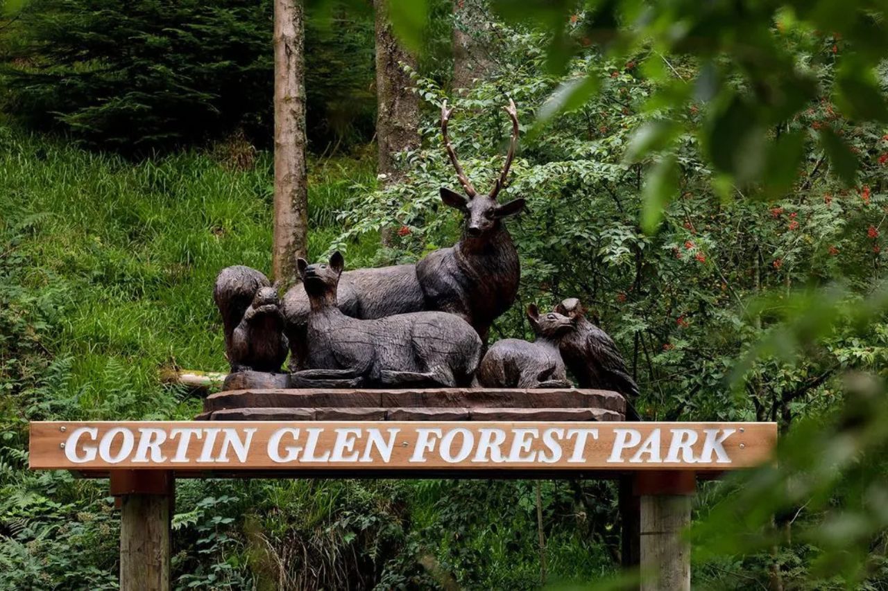 Gortin Glen Forest Park Tyrone