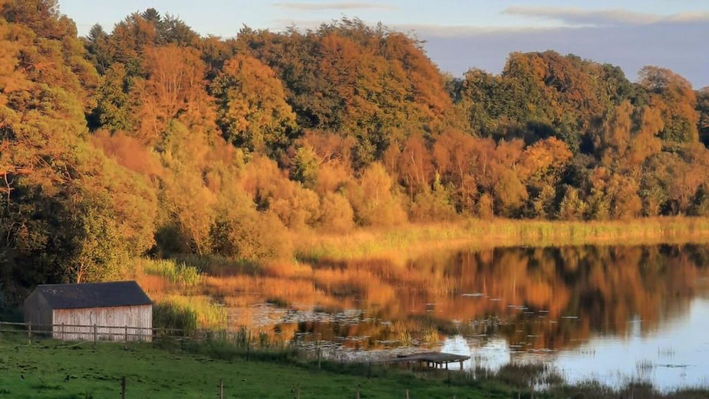 Winter lake views at Blessingbourne